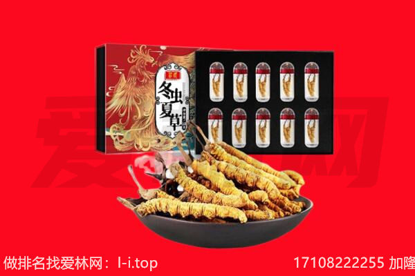 余杭区回收虫草.jpg